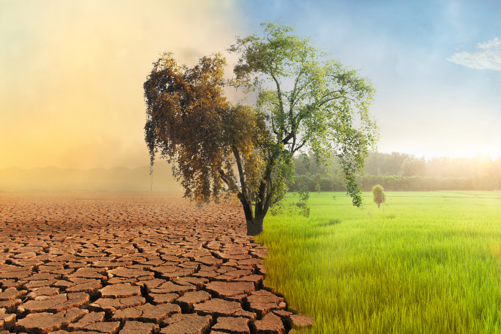 10 Consejos para Reducir el Impacto Medioambiental en Casa
